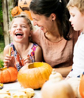 dt_personalWebsite-AdobeStock_220770300-cropped