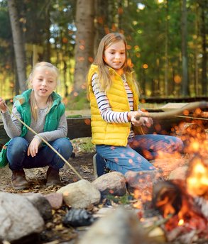 dt_personalWebsite-AdobeStock_277372799-cropped